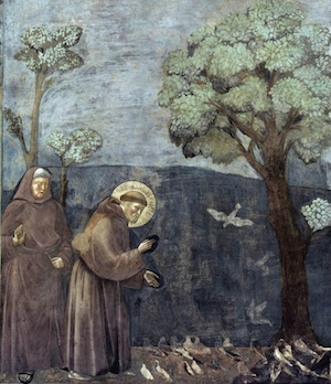 Giotto: Vogelprediger St. Franziskus von Assisi