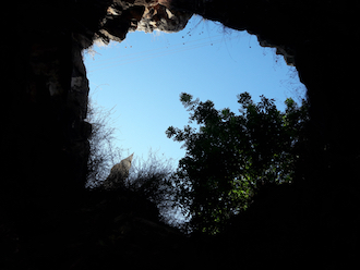 Siebenschläferhöhle – ewigeweisheit.de