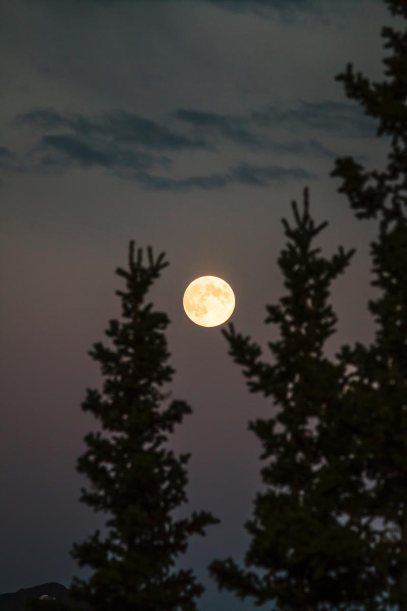 Vollmond - ewigeweisheit.de