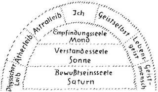 Wesensglieder des Menschen - ewigeweisheit.de